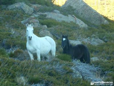 Peña Citores-Cumbres y Lagunas Peñalara; montes de toledo pozo de los humos salamanca parque natur